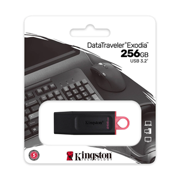 Kingston 256GB USB3.2 GEN1 Data Traveler DTX/256GB