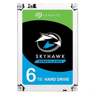Seagate ST6000VX001 Skyhawk 3.5
